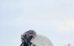 沈阳小伙狂喷壮壮